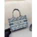 DIOR Book Tote handbag