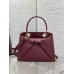 Dior 2026 Latest Bow Handbag Dior 2026 Latest Bow Handbag